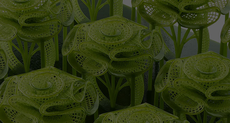 ANYCUBIC3D-PL