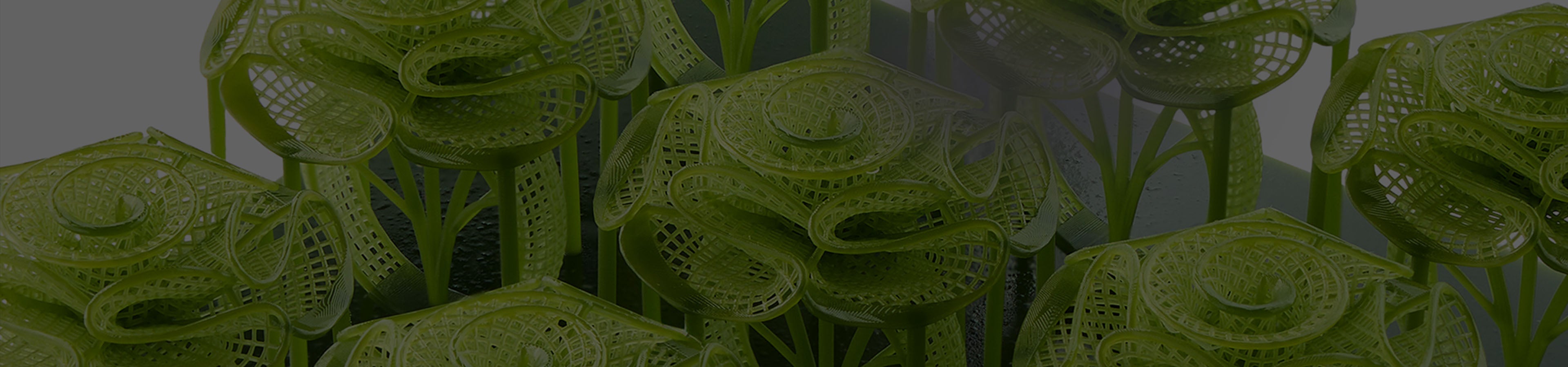 ANYCUBIC3D-PL
