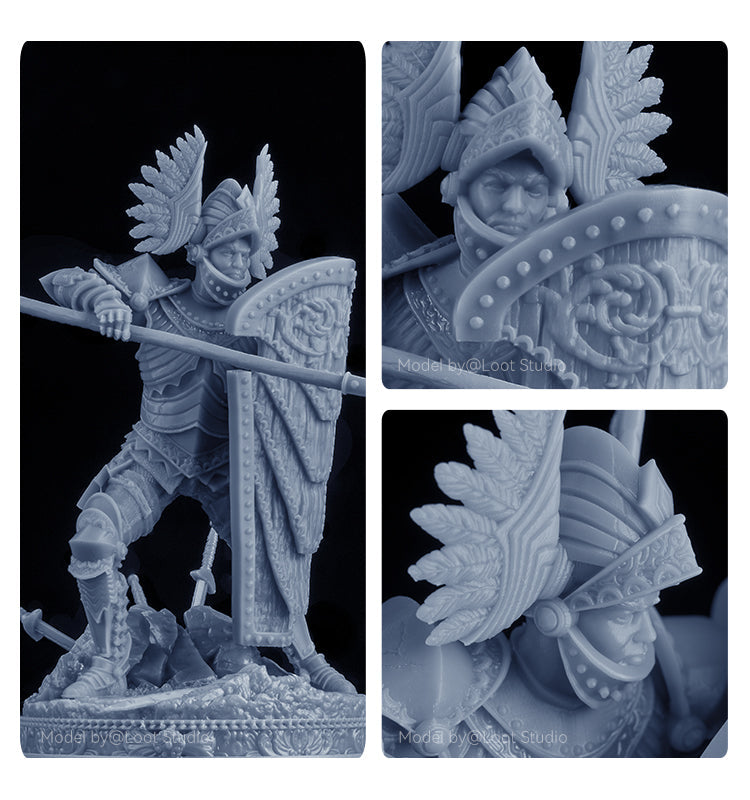 ANYCUBIC3D-PL