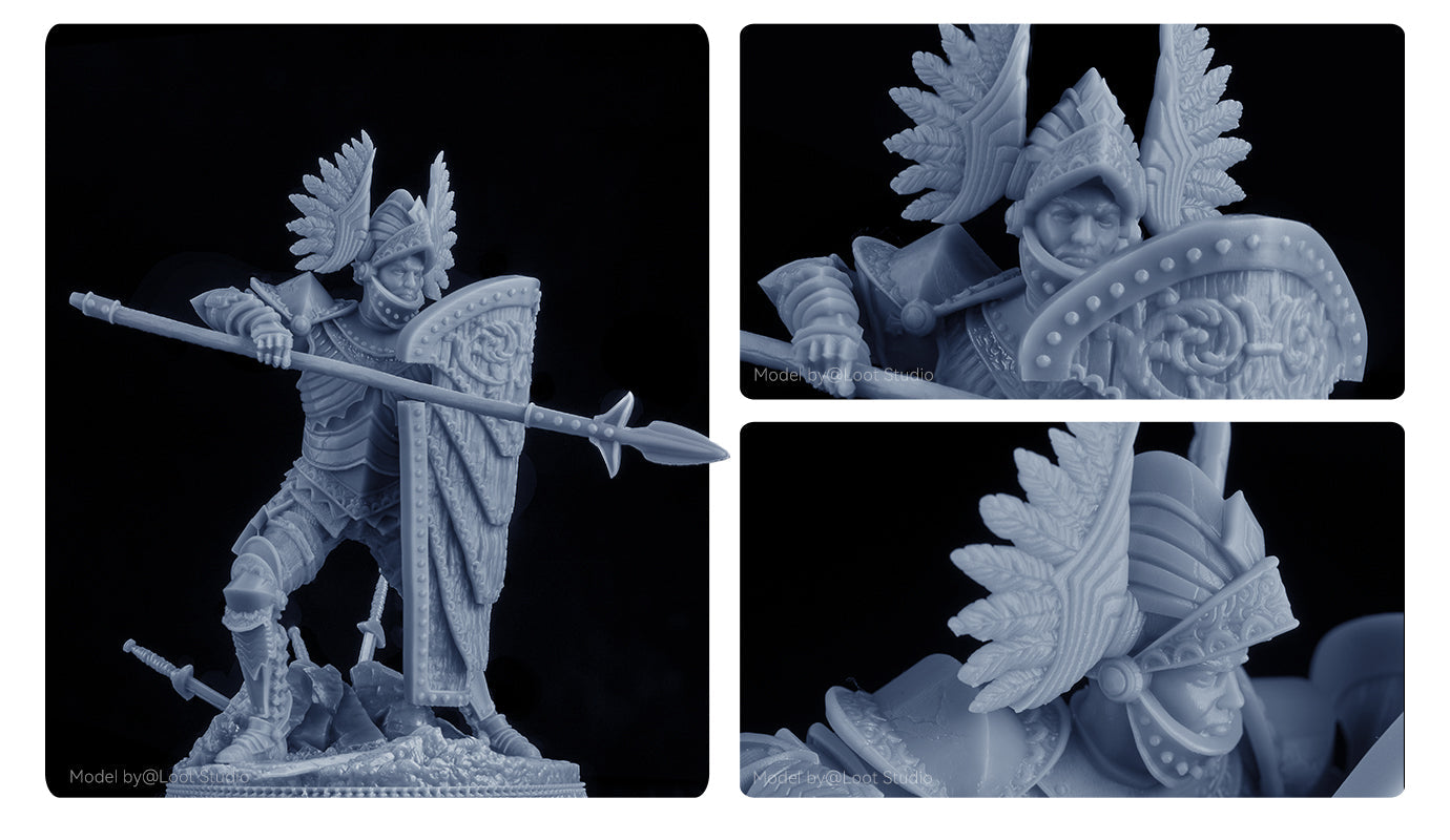 ANYCUBIC3D-PL