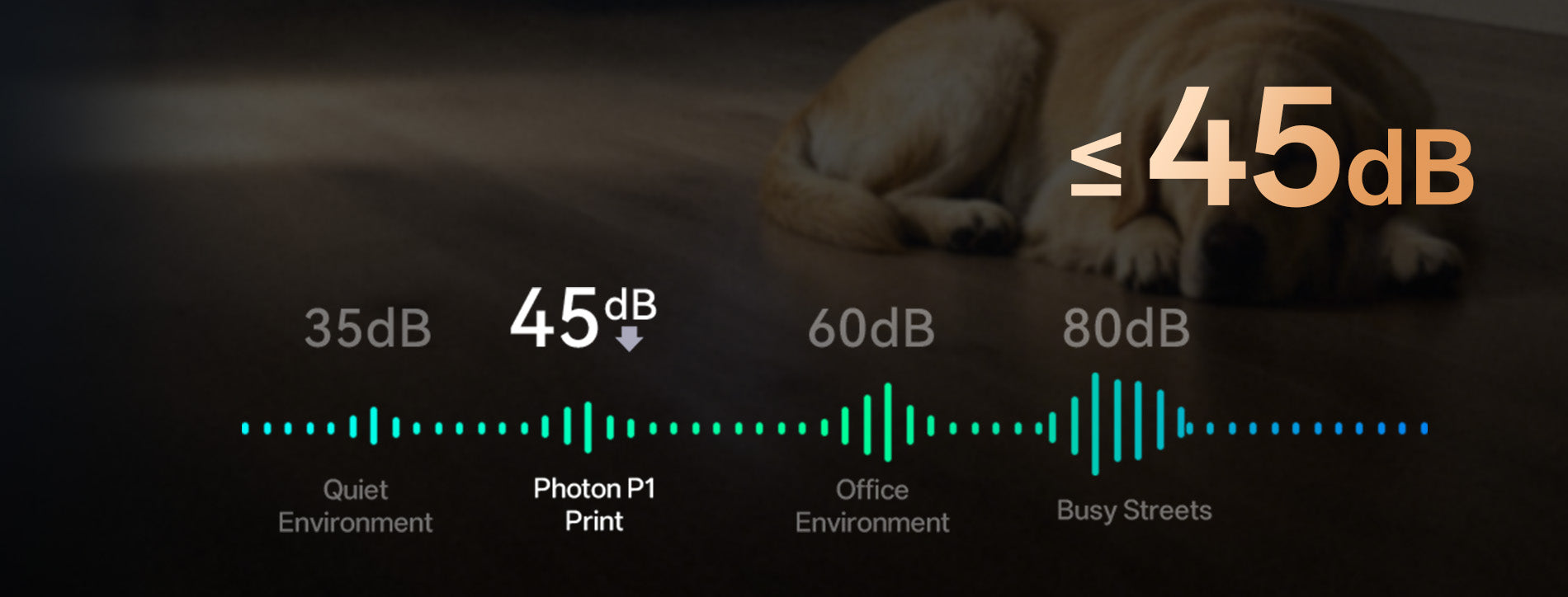 ANYCUBIC3D-PL