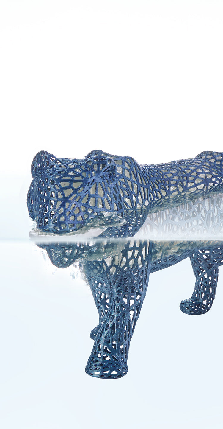 ANYCUBIC3D-PL