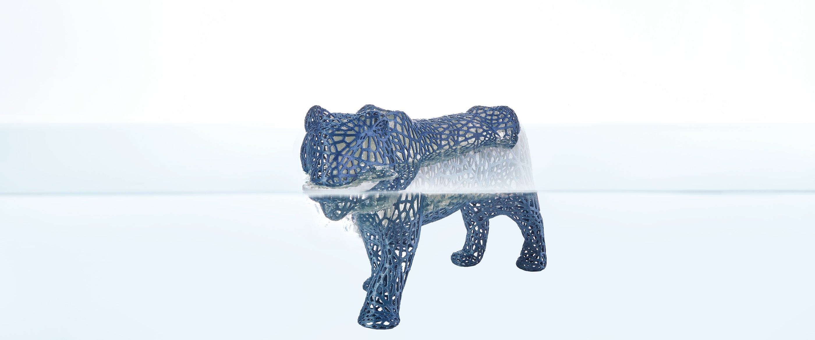 ANYCUBIC3D-PL