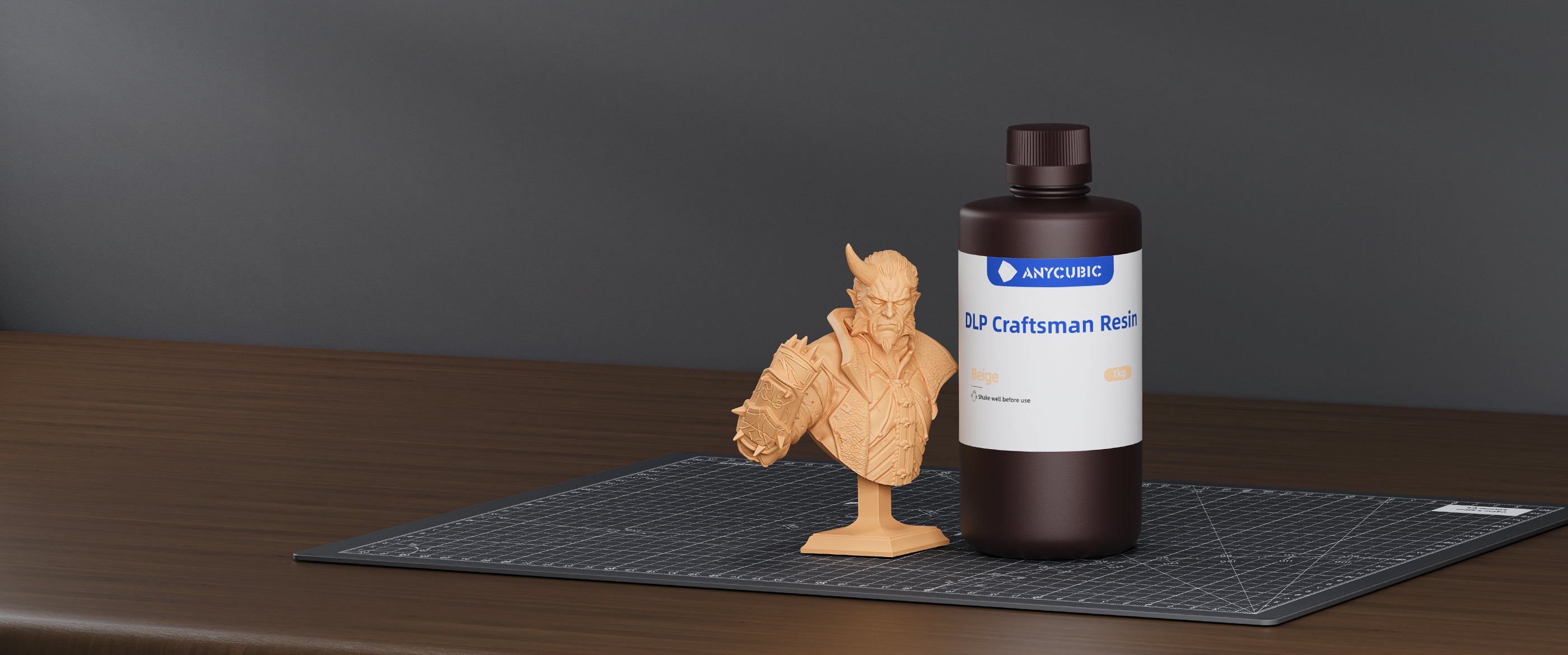 ANYCUBIC3D-PL