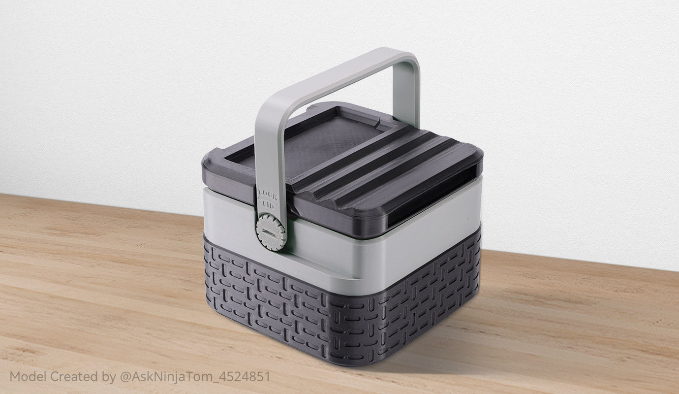 ANYCUBIC3D-PL