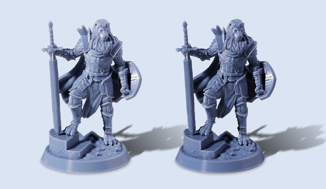 ANYCUBIC3D-PL